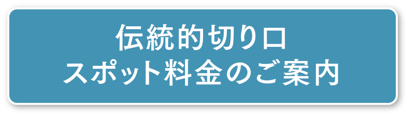 伝統的な切り口の料金設定