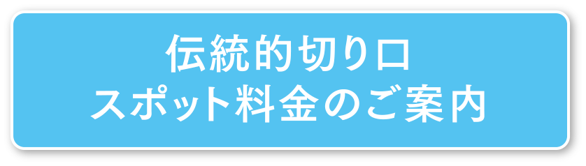 伝統的な切り口の料金設定